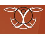 مؤسسة الشعاع للإنارة